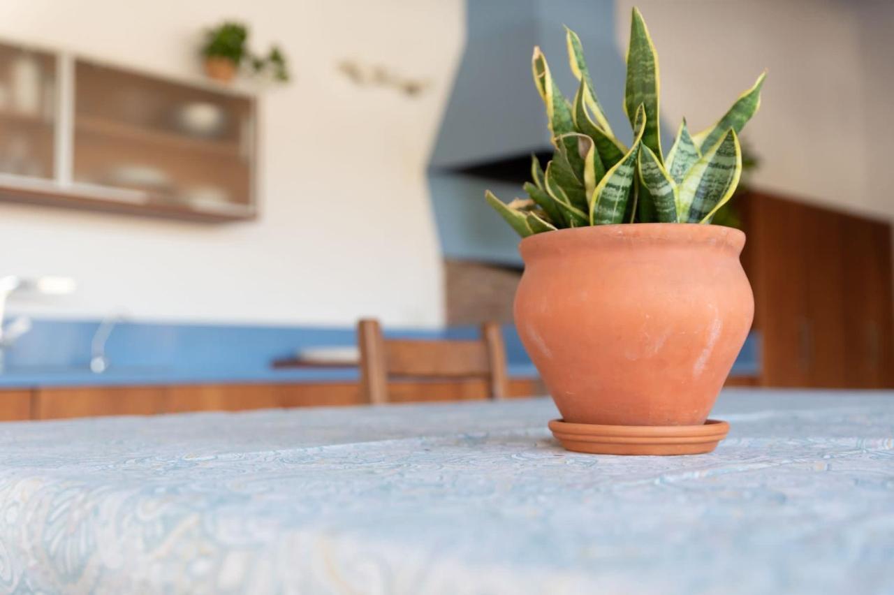 Glamping Slow Axarquia Torre de Benagalbon